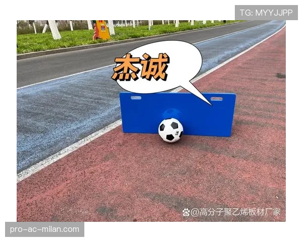 球员康复训练器械的采购招标文件样例，康复训练球主要作用