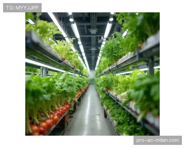 补光灯在夜晚照射草皮的几小时，花草补光灯